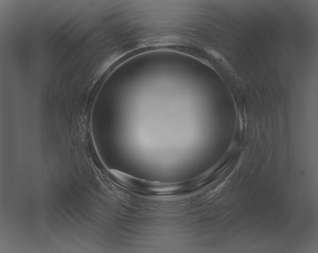 X0000053021457200507081313