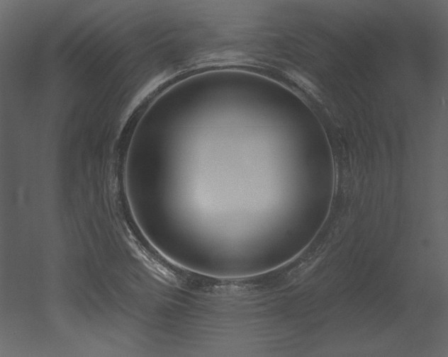 X0000053021458200507081313