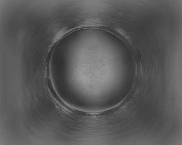 X0000053021459200507081313