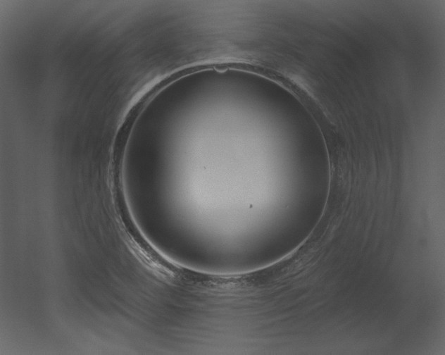 X0000053021460200507081313