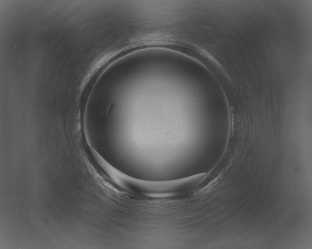 X0000053021461200507081313