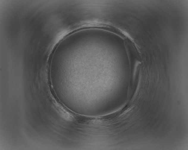 X0000053021463200507081313