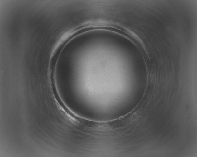 X0000053021464200507081313