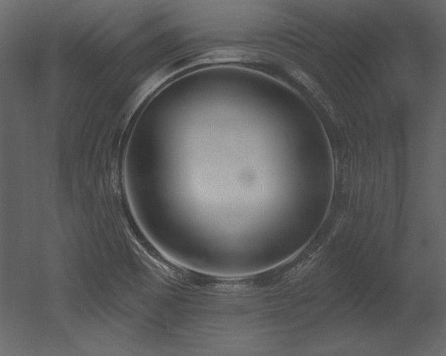 X0000053021465200507081313