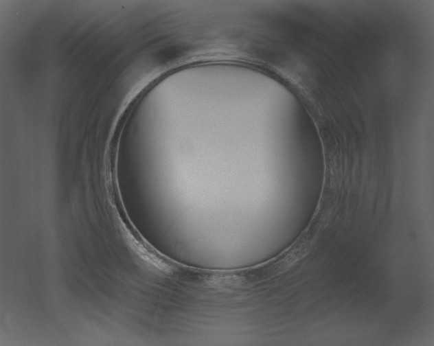 X0000053021466200507081313