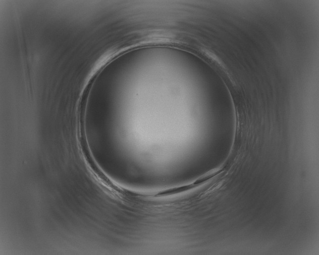 X0000053021467200507081313