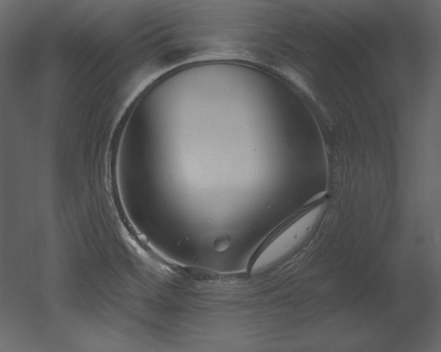 X0000053021468200507081313