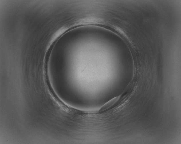 X0000053021469200507081313