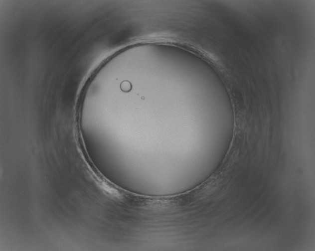 X0000053021470200507081313
