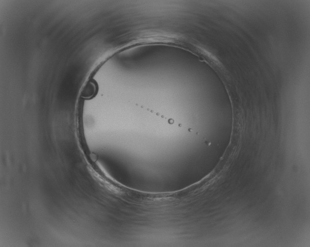 X0000053021471200507081313