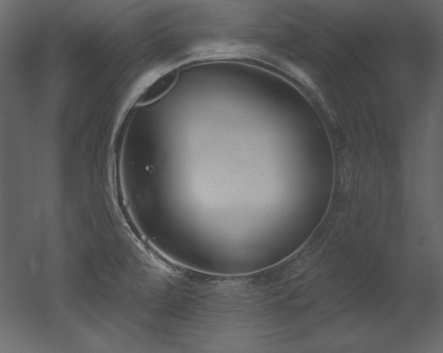 X0000053021472200507081313