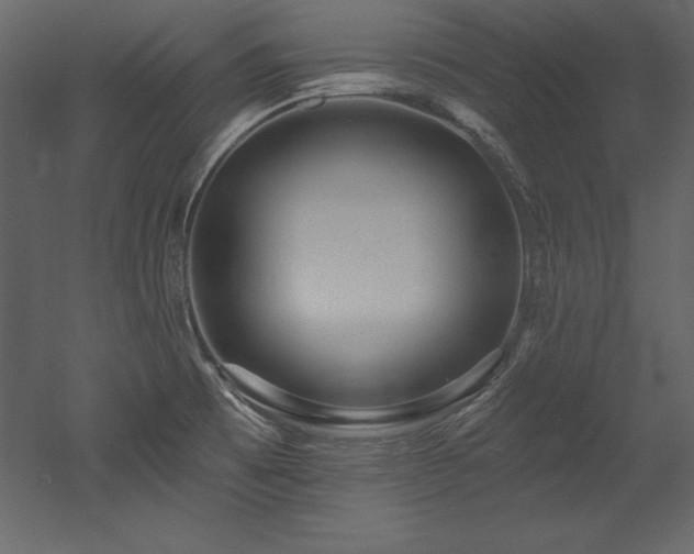 X0000053021473200507081313