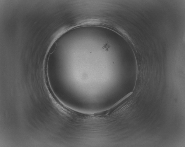 X0000053021475200507081313