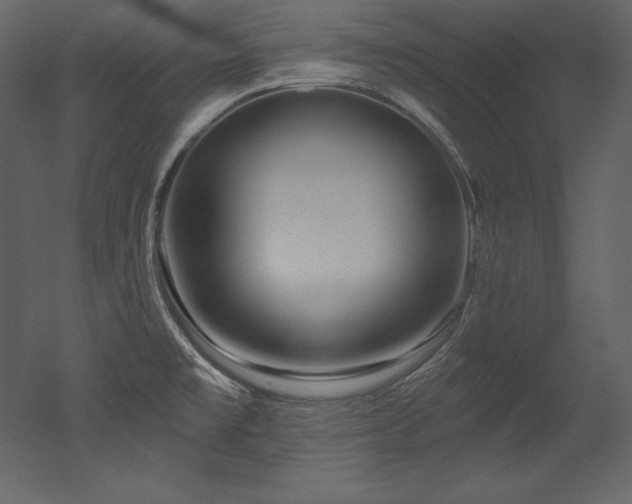 X0000053021477200507081313