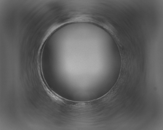 X0000053021478200507081313