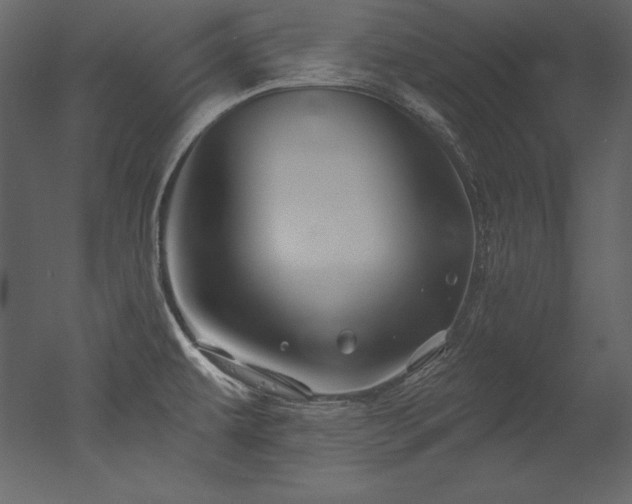 X0000053021479200507081313