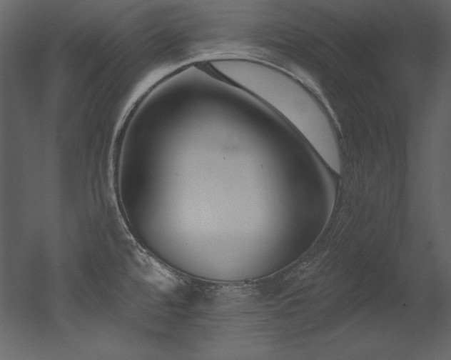 X0000053021480200507081313