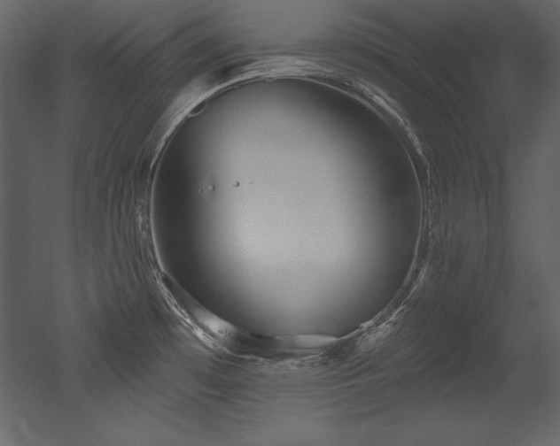 X0000053021481200507081313