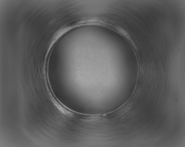 X0000053021482200507081313