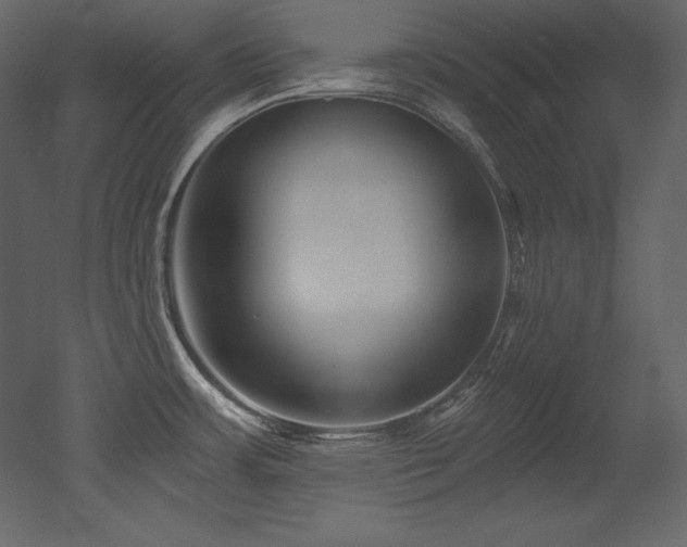 X0000053021483200507081313