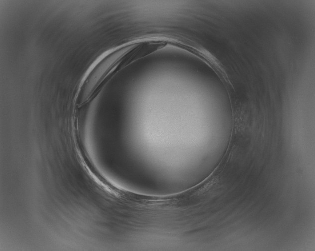 X0000053021484200507081313