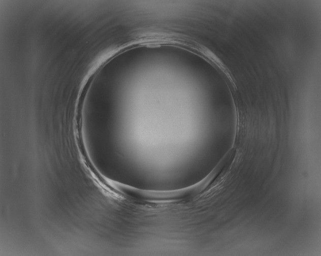X0000053021485200507081313