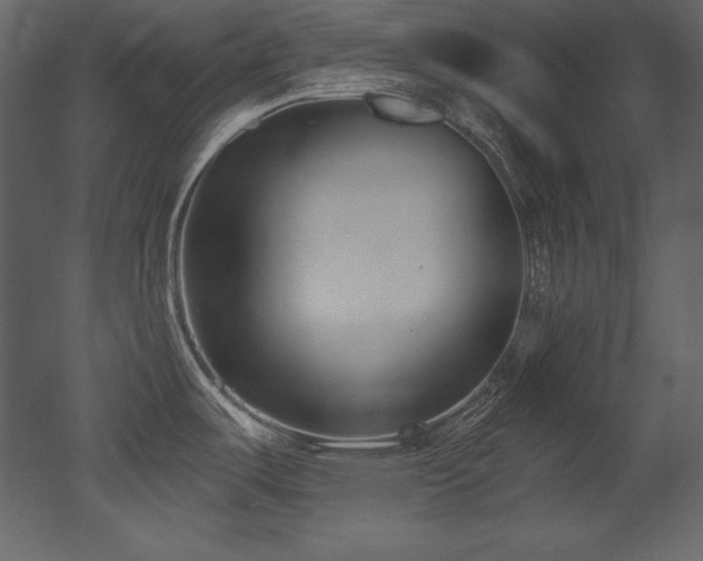 X0000053021487200507081313