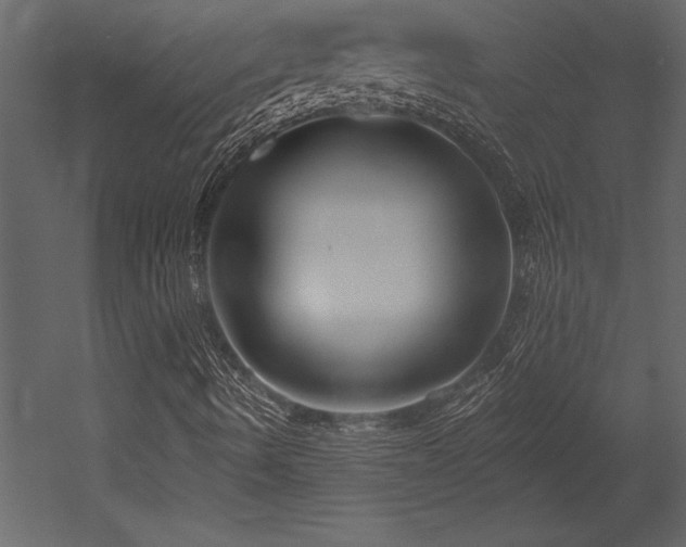 X0000053021490200507081312