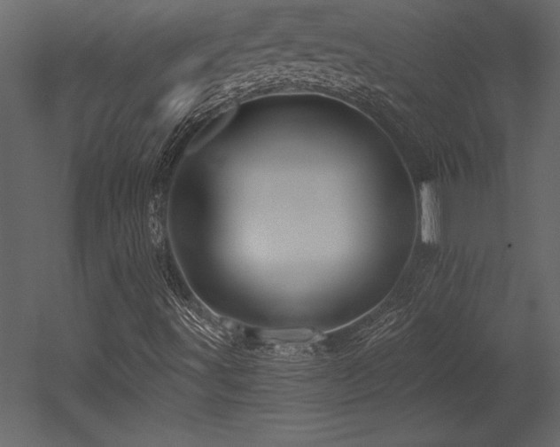 X0000053021491200507081312