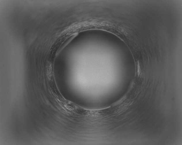 X0000053021492200507081312