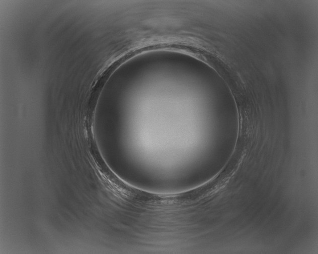 X0000053021497200507081312