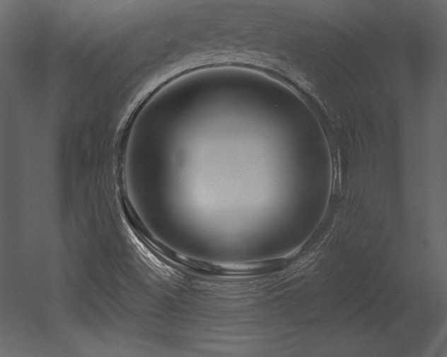 X0000053021500200507081312