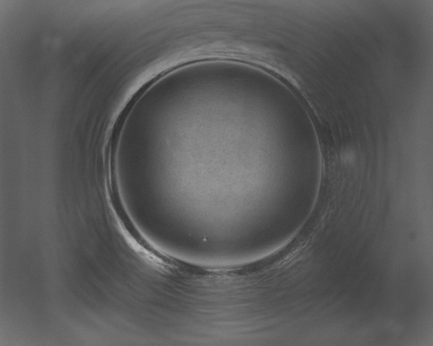 X0000053021515200507081312