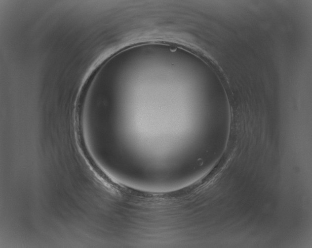 X0000053021517200507081312