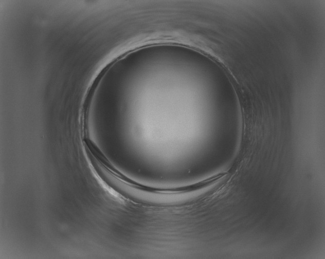 X0000053021519200507081312