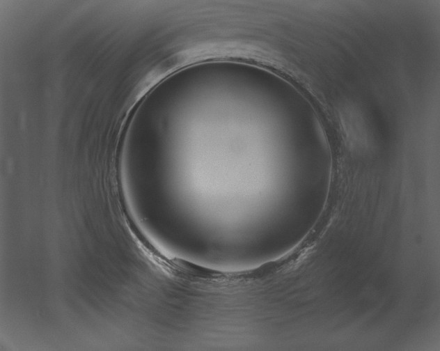 X0000053021521200507081312