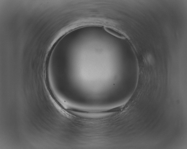 X0000053021523200507081312