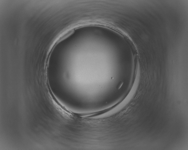 X0000053021524200507081312
