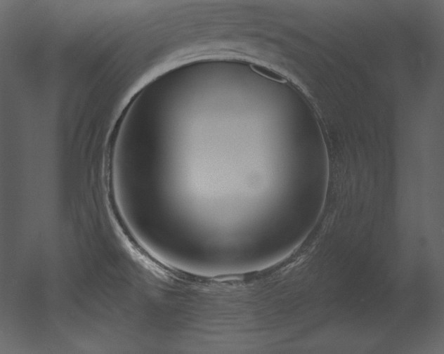 X0000053021526200507081312