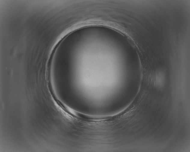 X0000053021527200507081312