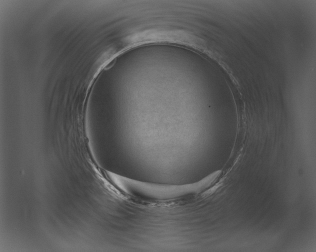 X0000053021529200507081312