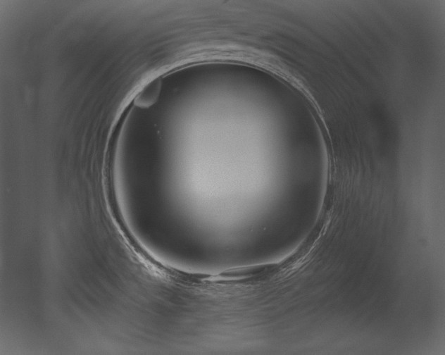 X0000053021533200507081313