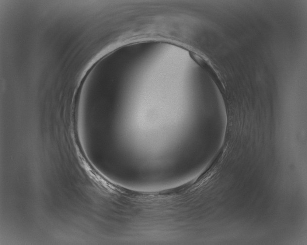 X0000053021534200507081313