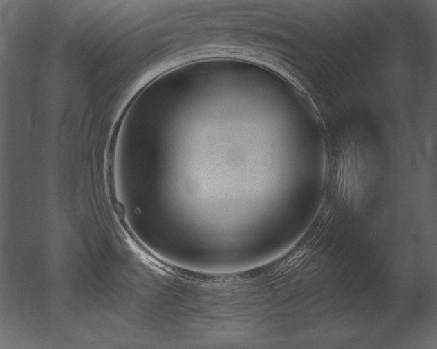 X0000053021535200507081313