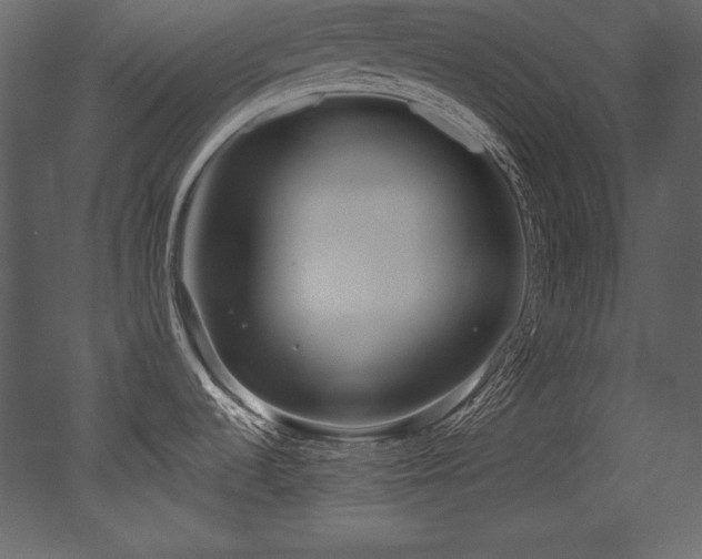 X0000053021536200507081313