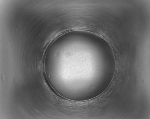 X0000053020002200507152026