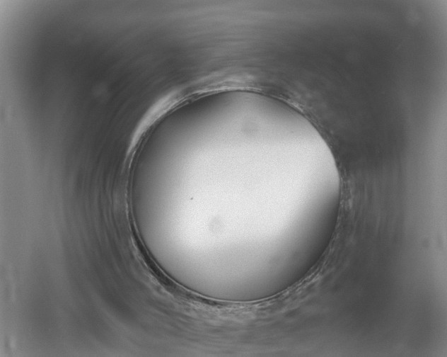 X0000053020004200507152026