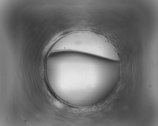 X0000053020005200507152026