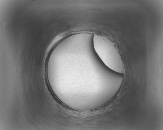 X0000053020006200507152026