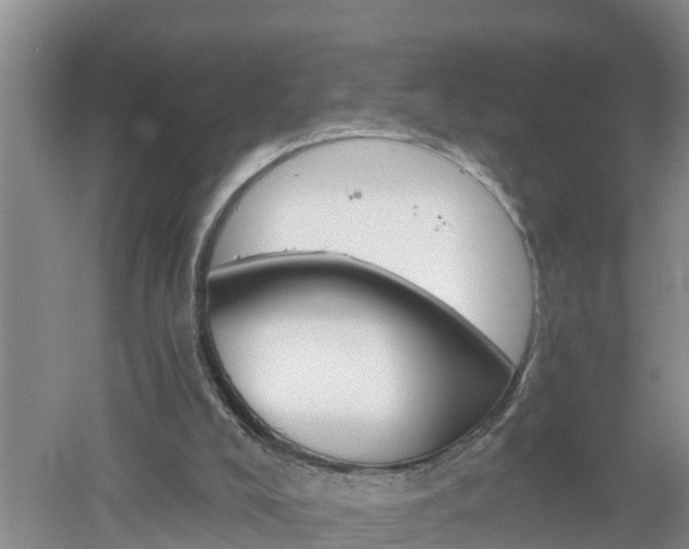 X0000053020008200507152026